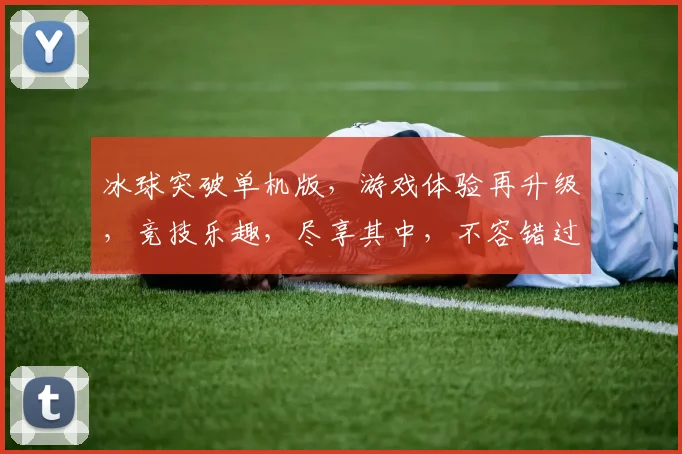 冰球突破单机版，游戏体验再升级，竞技乐趣，尽享其中，不容错过